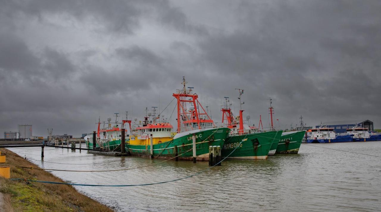 Schierzicht Logement Lauwersoog Exterior foto