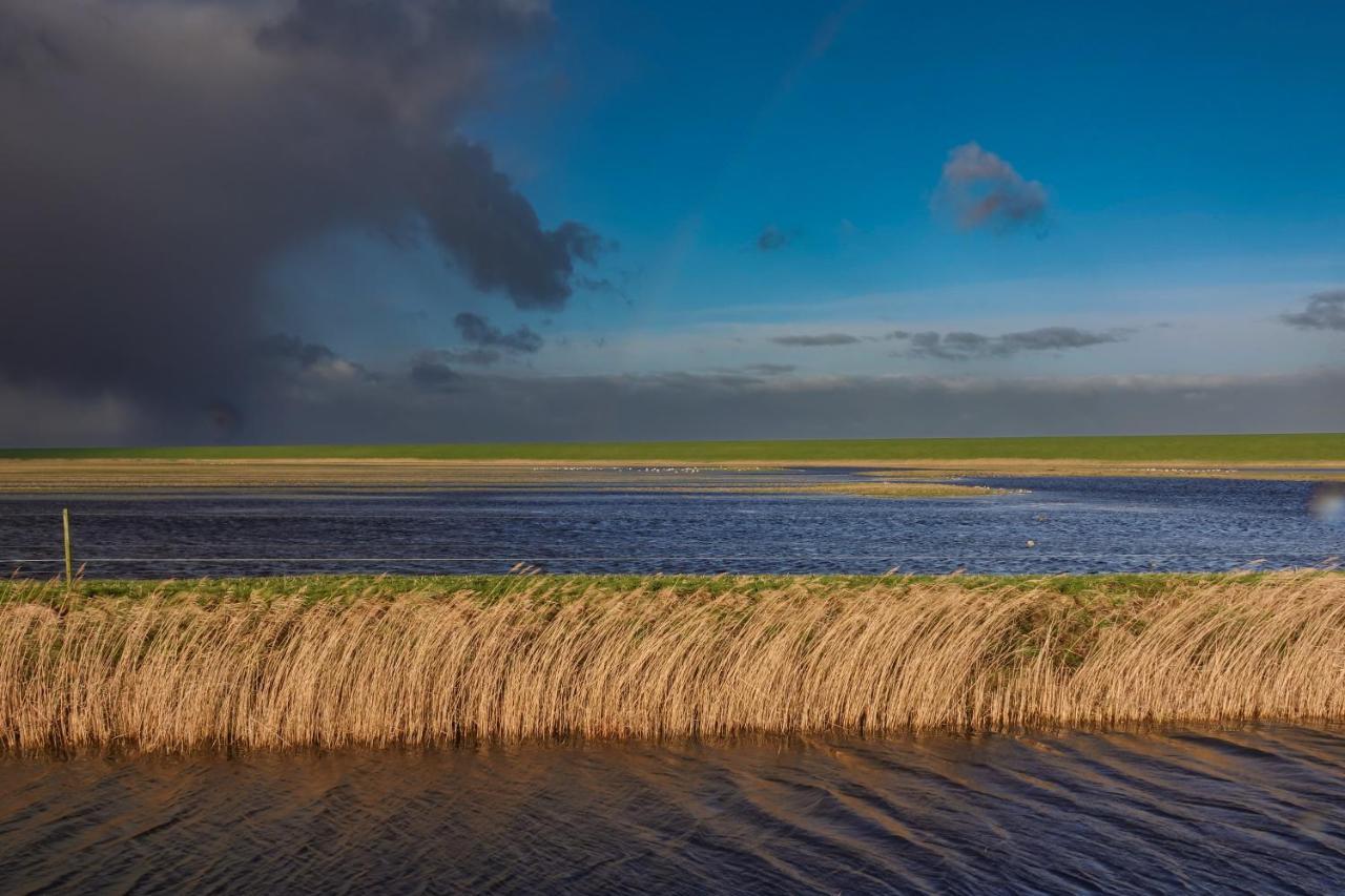 Schierzicht Logement Lauwersoog Exterior foto